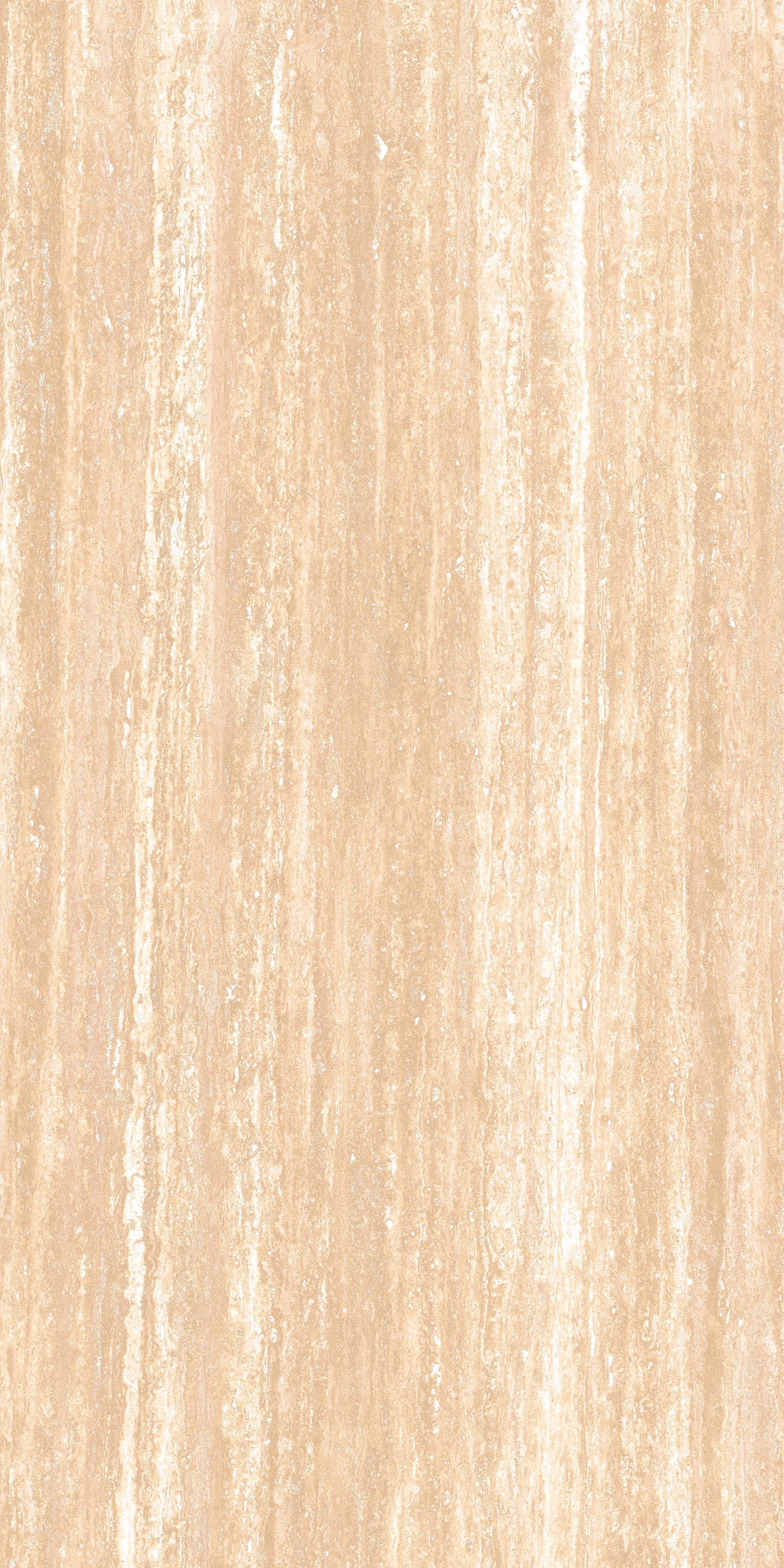 shop-2_01